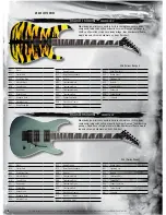 Preview for 8 page of Jackson DK2L Dinky Brochure