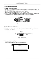 Предварительный просмотр 29 страницы JAI CV-M2CL Operation Manual