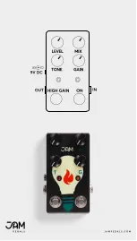 Preview for 2 page of JAM Pedals Lucydreamer Bass Quick Start Manual