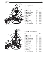 Preview for 13 page of Jandy SFTM PRO Series Installation And Operating Data