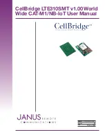 Janus Remote Communications CellBridge LTE310SMT Manual preview