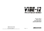 JB Systems VIBE-12 PRO Series Operation Manual preview