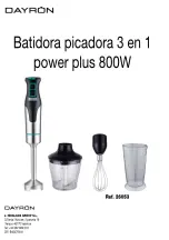 JHIDALGOS Group DAYRON Power Plus 26053 Manual preview