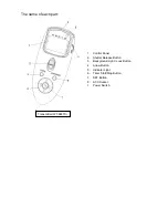 Предварительный просмотр 3 страницы JJC WT-868 Manual Instruction