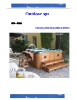 JNJ SPAS SPA-8028 Programming Instructions Manual предпросмотр