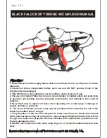 Jobar BLACK FALCON User Manual предпросмотр