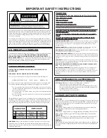 Предварительный просмотр 2 страницы Johnson Amplification Mirage JT100 User Manual