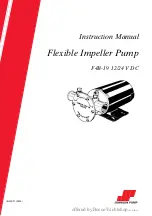 Johnson Pump F4B-19 Series Instruction Manual preview