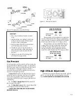 Предварительный просмотр 19 страницы Jøtul Allagash GF 300 DV Installation And Operation Instructions Manual