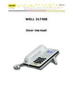 JOYCE WELL 3170IB User Manual предпросмотр