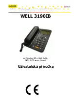 Предварительный просмотр 1 страницы JOYCE WELL 3190IB Manual