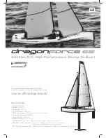 Joysway DRAGONFORCE 65 Instruction Manual preview