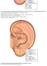 Предварительный просмотр 13 страницы JPA DiaDENS-DT Manual