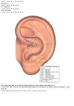 Предварительный просмотр 14 страницы JPA DiaDENS-DT Manual