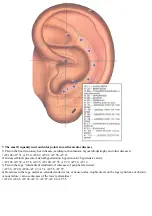 Предварительный просмотр 17 страницы JPA DiaDENS-DT Manual