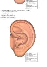 Предварительный просмотр 27 страницы JPA DiaDENS-DT Manual