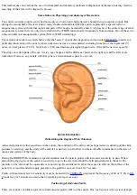 Предварительный просмотр 42 страницы JPA DiaDENS-DT Manual