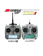 Preview for 2 page of Jr. Pro DSX12 Radio Setting Manual