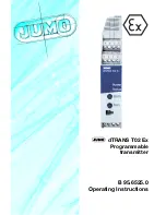 Предварительный просмотр 29 страницы JUMO dTRANS T02 Ex Operating Instructions Manual