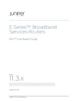 Juniper E SERIES BROADBAND SERVICES ROUTERS 11.3.X - ERX HARDWARE GUIDE REV 26-9-2010 Hardware Manual preview