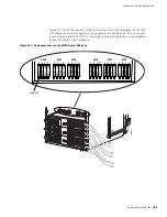 Предварительный просмотр 371 страницы Juniper JUNOS Network Operation Manual