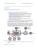 Предварительный просмотр 25 страницы Juniper MEDIA FLOW MANAGER 2.0.2 - ADMINISTRATOR S GUIDE AND CLI Administrator'S Manual