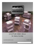 Предварительный просмотр 1 страницы Kalamazoo Sculpture Brochure