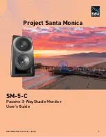 KALI AUDIO SM-5-C User Manual preview