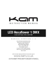 KAM LED Hexaflower 1 DMX Instruction Manual предпросмотр