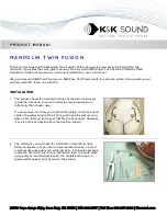 Предварительный просмотр 1 страницы K&K Sound MANDOLIN TWIN FUSION Product Manual