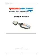 Kanguru Mini Drive User Manual preview