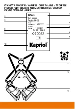 Preview for 22 page of Kapriol BETA 3 Manufacturer'S Instruction And Information