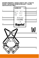 Предварительный просмотр 22 страницы Kapriol GAMMA 2 Manufacturer'S Instruction And Information