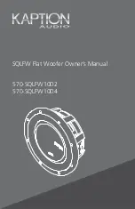 Kaption Audio 570-SQLFW10D2 Owner'S Manual предпросмотр