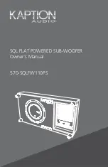 Kaption Audio 570-SQLFW110PS Owner'S Manual preview