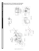 Предварительный просмотр 26 страницы Kärcher STP-231007D Manual