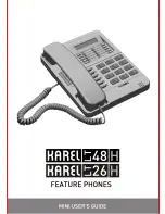 Karel LT48-H User Manual предпросмотр