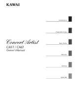 Kawai CA97 concert artist Owner'S Manual предпросмотр