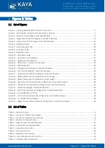 Preview for 4 page of Kaya Instruments IRON CoaXPress User Manual