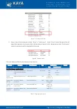 Preview for 19 page of Kaya Instruments IRON CoaXPress User Manual