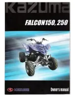 Kazuma Falcon 150 Owner'S Manual предпросмотр