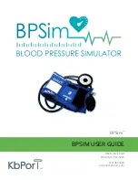 KbPort BPSim User Manual предпросмотр