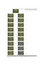 Preview for 10 page of Kentech Instruments Pulse Chopper System Manual