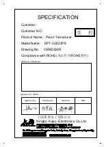 KEPO KPT-G2223P8 Manual preview