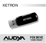 KETRON Audya Sound Upgrade Instructions For Installation Manual предпросмотр