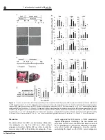 Preview for 8 page of Kewtech KTD50 User Manual