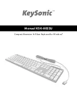 KeySonic KSK-8022U Manual preview