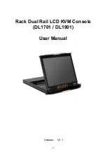 KinAn DL1701 User Manual preview