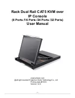 KinAn DL2908i User Manual preview