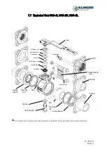 Preview for 14 page of KLINGER BALLOSTAR KHA Standard Operation Manual